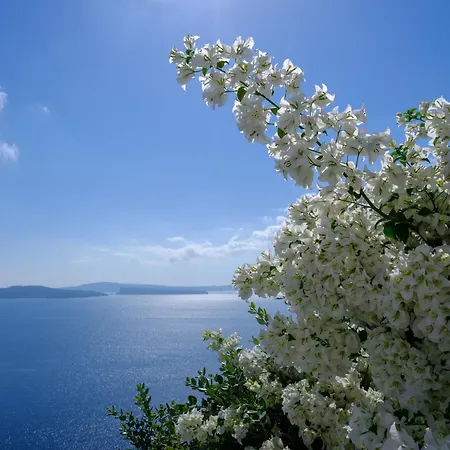 Bed & Breakfast Thirea