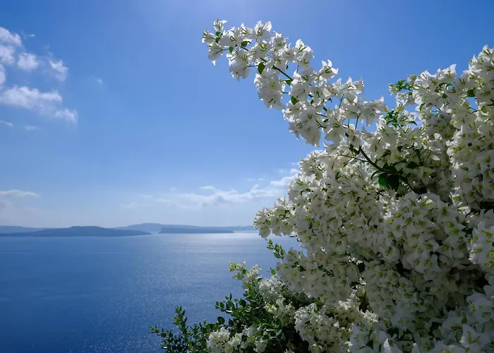 Bed & Breakfast Thirea